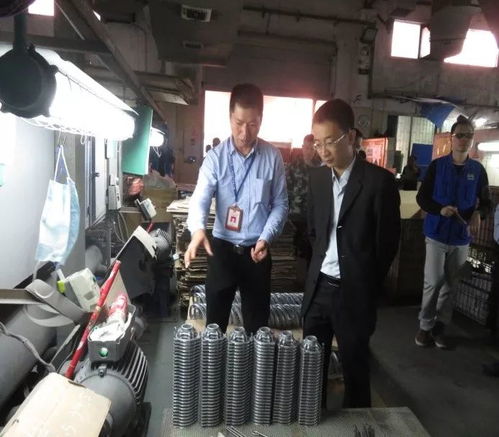 鳳崗鎮(zhèn)開展元旦節(jié)前安全檢查，監(jiān)控設(shè)備成關(guān)鍵環(huán)節(jié)